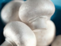 Jak hodować pieczarki?