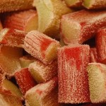 Jak mrozić rabarbar