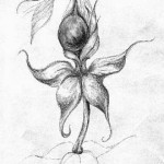 Jak rysować ołówkiem