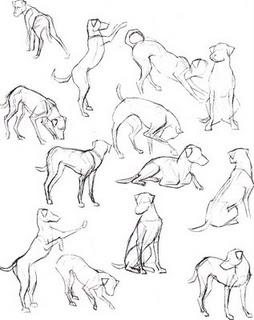 Jak rysować zwierzęta