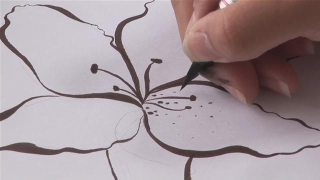 Jak narysować lilię