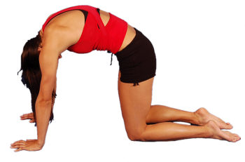 Jak prawidłowo wykonać ćwiczenie „koci grzbiet”