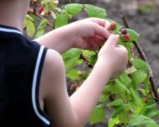 Jak otrzymać zasiłek rodzinny?