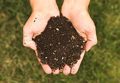 Jak przygotować kompost – nawóz naturalny?