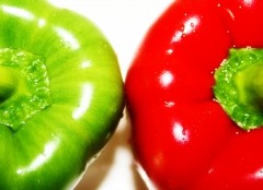 Jak hodować paprykę?